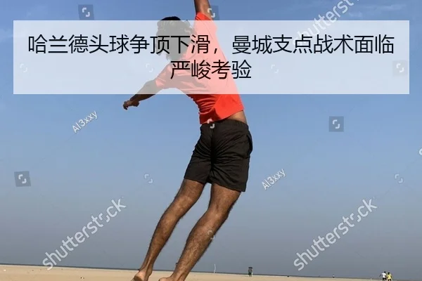 ha-lan-de-tou-qiu-zheng-ding-xia-hua-man-cheng-zhi-dian-zhan-shu-mian-lin-yan-jun-kao-yan-2-301.jpg